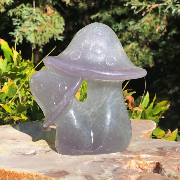Extra Large Double Mushroom Rainbow Fluorite Carving - Picture 1 of 5